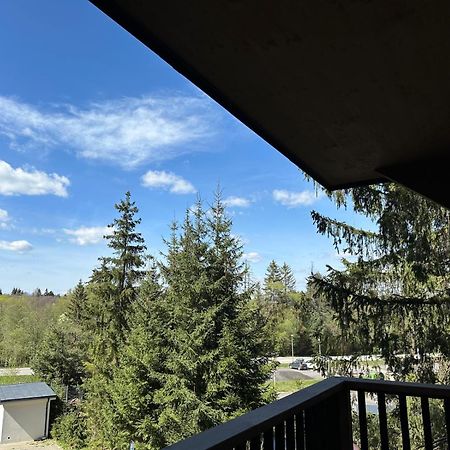 Apartman Pod Smrekom Demaenovska Dolina Экстерьер фото