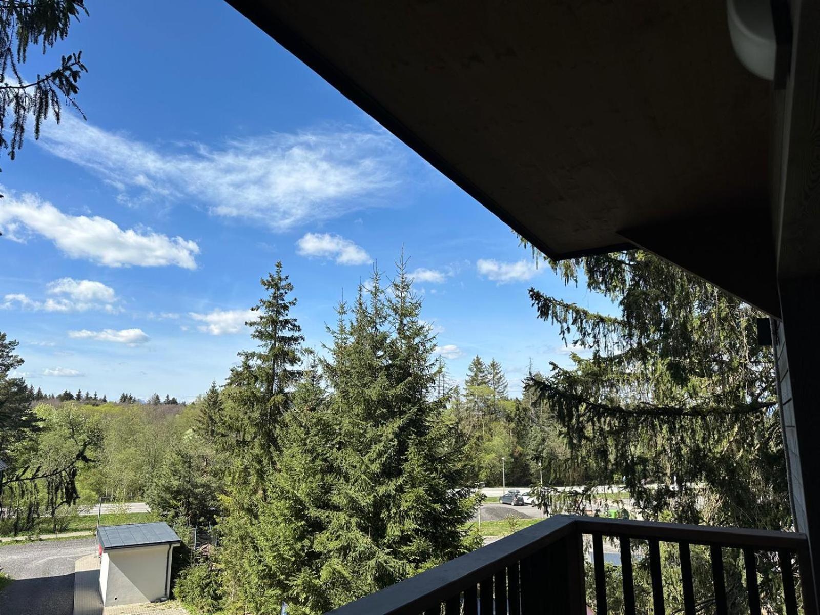 Apartman Pod Smrekom Demaenovska Dolina Экстерьер фото
